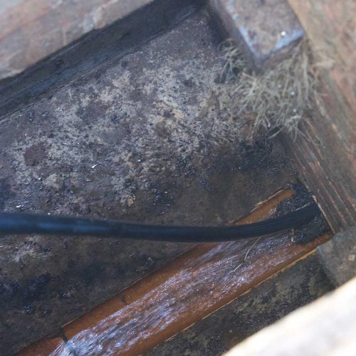 Drain Jetting